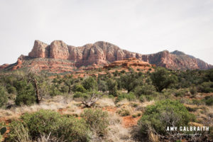 red rock desert scene in arizona