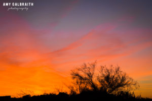 colorful desert sunset
