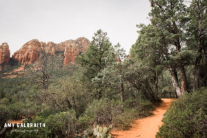 soldier pass hiking trail