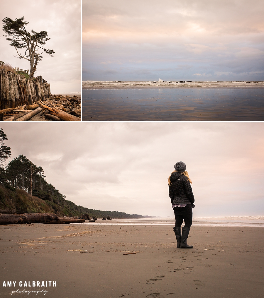 views of the kalaloch beach in olympic national park