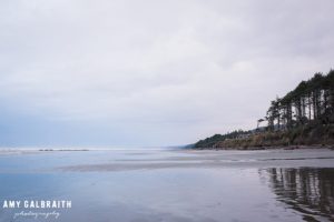 kalaloch beach in olympic national park