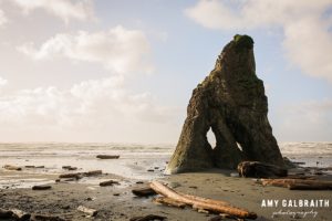 sea stacks at ruby beach in olympic national park