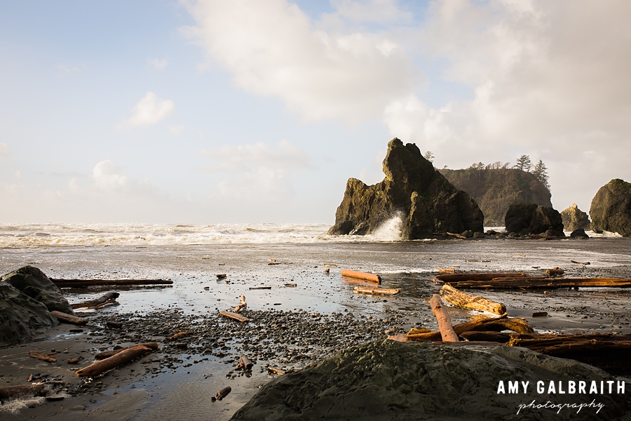 ruby beach in olympic national park