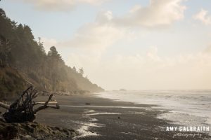 beach 4 in olympic national park