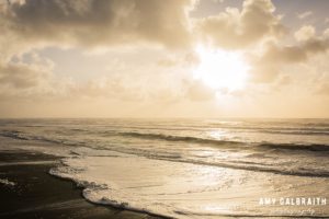 golden sunset at beach 4 in olympic national park