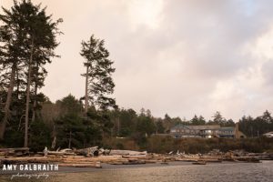 kalaloch lodge in olympic national park