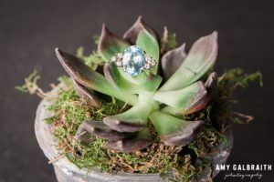 succulent plant with gemstone ring