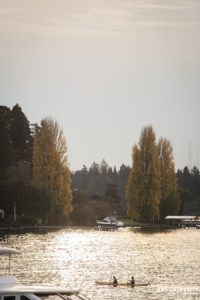 kayakers on lake washington in the fall
