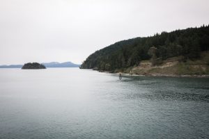 views from the ferry to orcas island