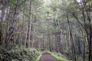 hiking in turtleback mountain preserve on orcas island