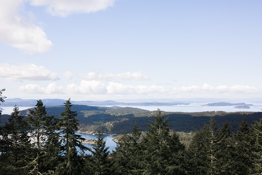 views of puget sound and canada from turtleback mountain