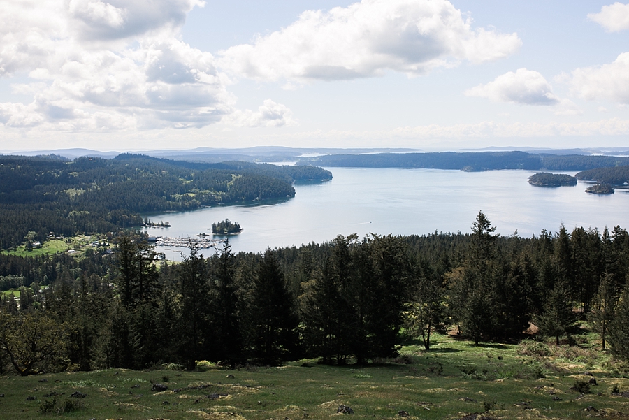 views of puget sound from turtleback mountain preserve