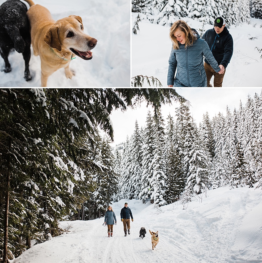 winter engagement photos with dogs at crystal mountain