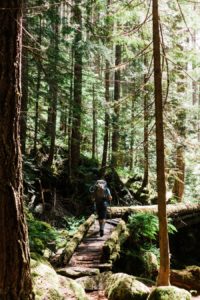 Backpacking Necklace Valley in the Central Cascades by Adventure Photographer Amy Galbraith