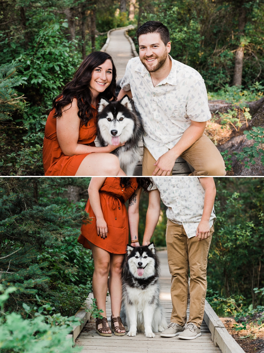 Cache Creek Engagement Photos in Jackson Hole with a Husky Dog by Jackson Hole wedding photographer Amy Galbraith