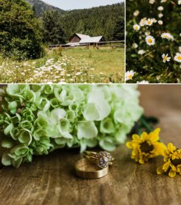 Wildflowers at mountain wedding venue Brown Family Homestead