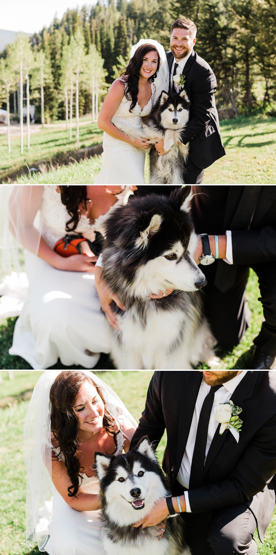 A bride and groom snuggle with their husky on their Jackson Hole wedding day at Grand Targhee