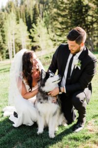 A bride and groom snuggle with their husky on their Jackson Hole wedding day at Grand Targhee