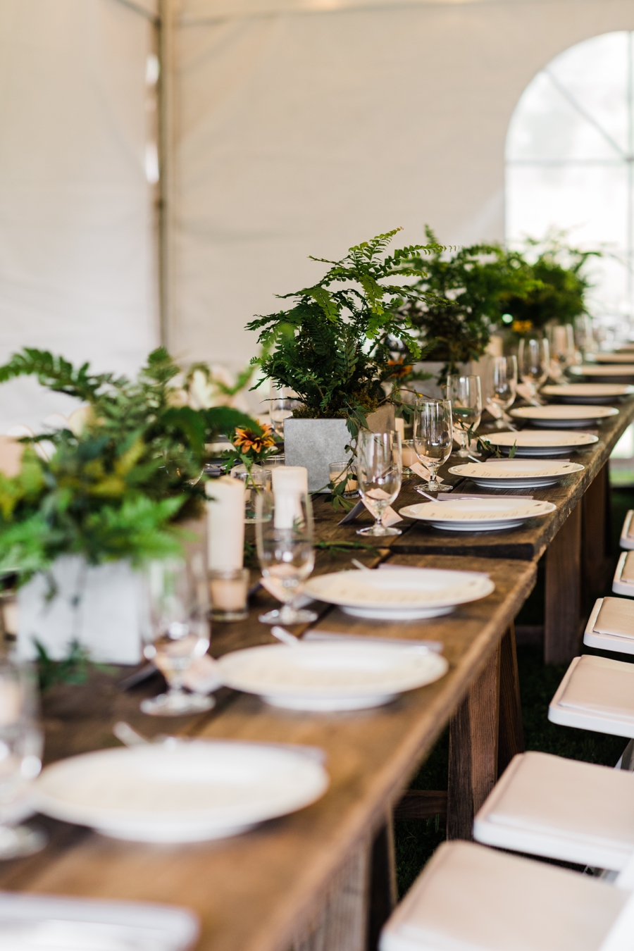 Live plant centerpieces at a wedding on Vashon Island photographed by outdoor wedding photographer Amy Galbraith