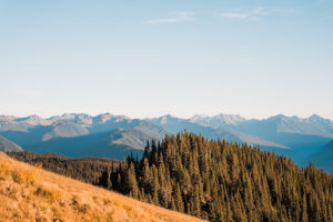 The view of Hurricane Ridge looking towards the Olympic Mountains at sunset