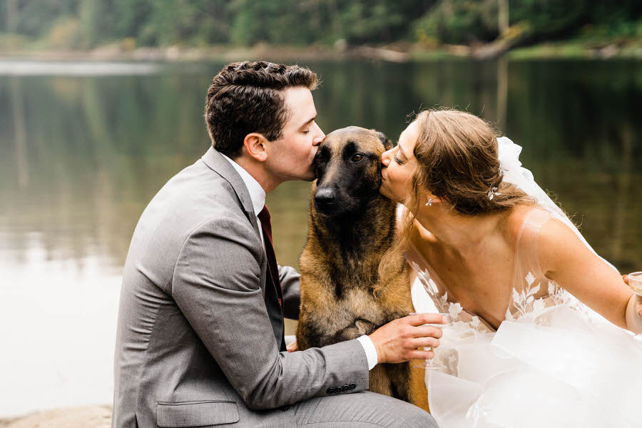 A bride and groom kiss their dog