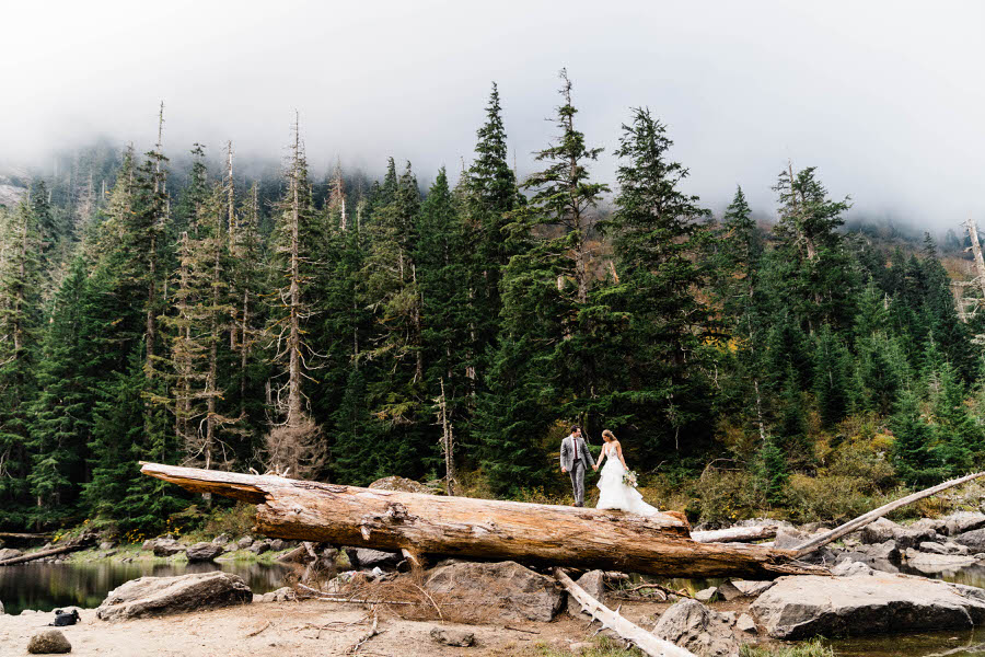 A bride and groom walk along a giant fallen log after their hiking elopement in Washington