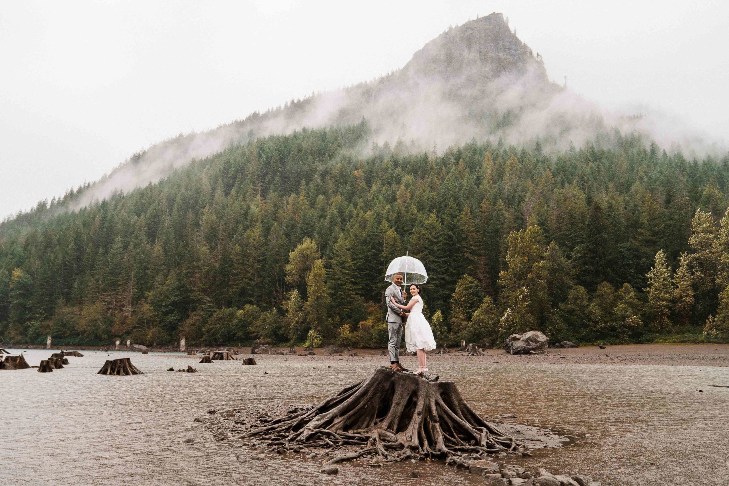 Bride and groom holding a clear umbrella and standing on a tree stump at Rattlesnake Lake