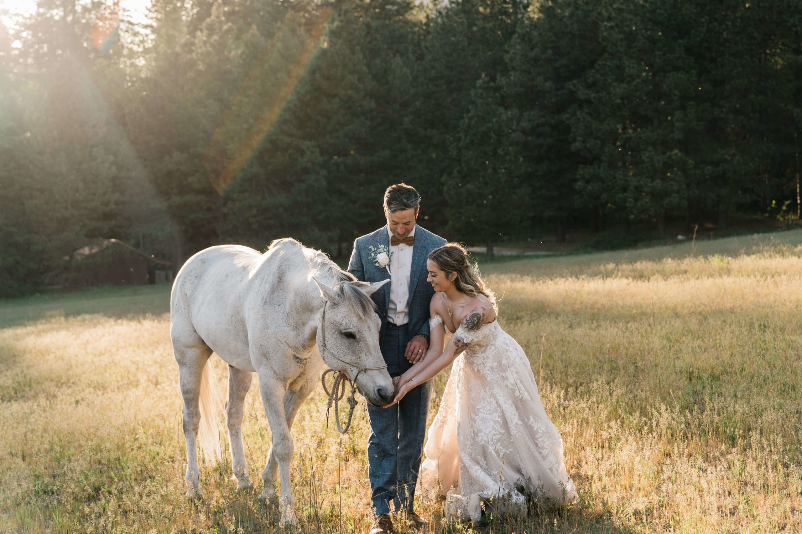 Bride and groom lead horse through the field at Washington wedding