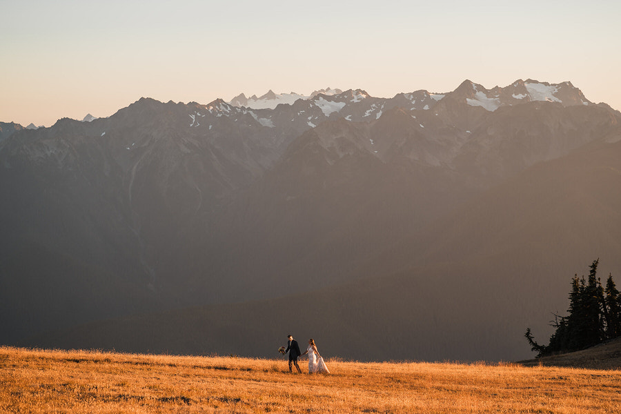 Couple walking hand in hand through a golden alpine meadow with the Olympic Mountains rising behind them at sunset.